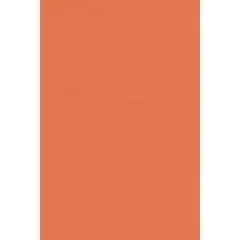 Pacon&reg; Spectra&reg; Art Tissue&trade; Sheets, 24ct. Orange