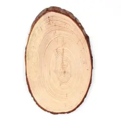 ArtSkills 10" Unfinished Natural Wood Slice