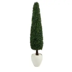 5.25ft. Boxwood Topiary in White Planter
