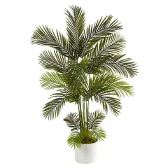 5.5ft. Areca Palm Tree in White Tin Planter