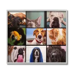 Stupell Industries Animal Video Chat Meeting Wall Art