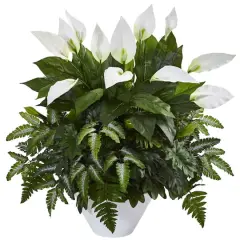2.5ft. Mixed Peace Lily Plant in White Vase