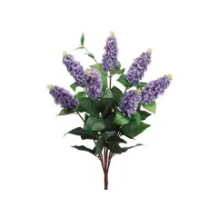 Italian Lilac Bush