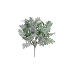 Green & Grey Dusty Miller Bush 