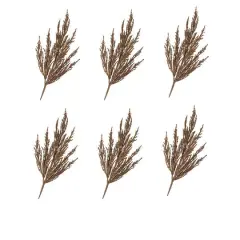 Brown Harvest Plume Stems, 6ct.