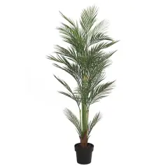 5.25ft. Potted Areca Palm Tree