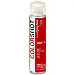 COLORSHOT&reg; Premium Gloss Spray Paint Stiletto