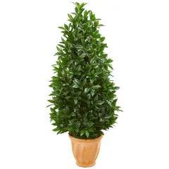 4.5ft. Bay Leaf Topiary Tree in Terra Cotta Planter