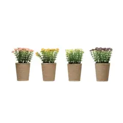 Hello Honey&reg; 6.5" Blooming Plant, 4ct.