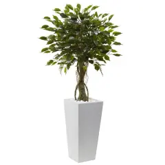 4.5ft. Potted Ficus Tree in Decorative White Planter