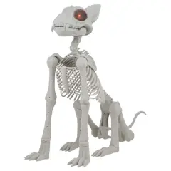 5ft. Oversized Posable Cat Skeleton by Ashland&reg;