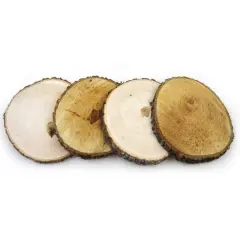 Wilson&reg; Enterprises 4 Pack Natural Basswood Round