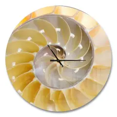 Designart Isolated Nautilus Shell Modern Wall Clock