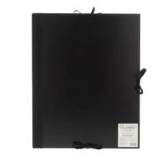 Daler-Rowney&reg; Cachet Classic Artists Portfolio with Flaps