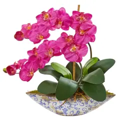 16" Moth Orchid Arrangement in Blue Floral Vase Dark Pink