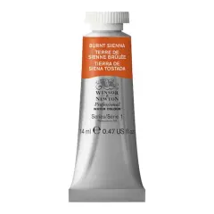 Winsor & Newton&reg; Professional Water Colour&trade; Paint Tube, 14mL Burnt Sienna