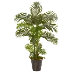 5ft. Areca Palm Tree in Decorative Metal Pail