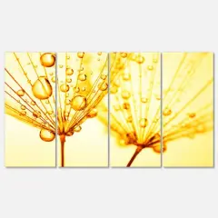 Designart - Dandelion Seeds with Water Drops - Floral Canvas Art Print
