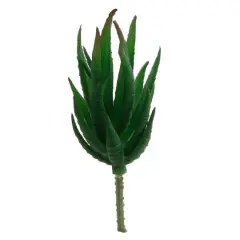 Flora Bunda&reg; Aloe Zebra Succulent Pick, 12ct.