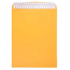 JAM Paper 12" x 15.5" Brown Kraft Recycled Peel & Seal Closure Envelopes, 500ct.