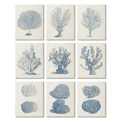 Stupell Industries Soft Blue Nautical Coral Illustrations over Beige,11' x 14"