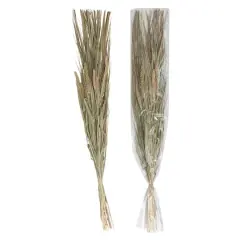 Hello Honey&reg; 38" Dried Natural Canary Grass & Date Palm Bunch