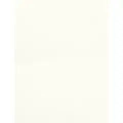PA Paper&trade; Accents 8.5" x 11" 74lb. Muslin Cardstock Paper, 1,000 Sheets Avalanche