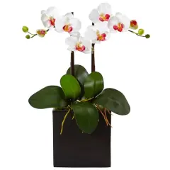 18.5" Double Mini Phalaenopsis Silk Orchid in Black Vase White