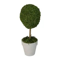 14" Artificial Reindeer Moss Ball Topiary Tree in White Pot