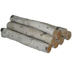 Wilson&reg; Enterprises 15.5" to 17.5" White Birch Log Bundle