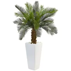 3ft. Sago Palm Tree in White Tower Planter
