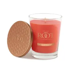 Root Candles 10.5oz. Large Scented Honeycomb Veriglass Jar Candle Coastal Sunrise