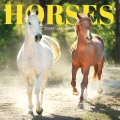 TF Publishing 2024 Horses Wall Calendar