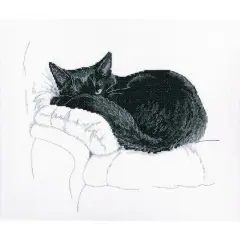 RTO Among Black Cats M668 Cross Stitch Kit