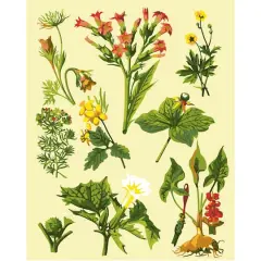 8" x 10" Vintage Flowers Paint-by-Number Kit with Wood Display Hanger by Artist's Loft&reg;
