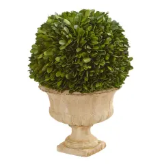 12in. Boxwood Topiary Ball in Decorative Urn