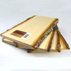 Wilson&reg; Enterprises 10 Pack Medium Basswood Plank