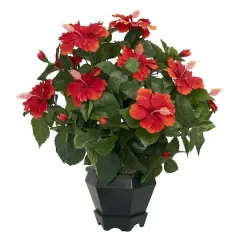20" Orange Hibiscus with Black Hexagon Vase