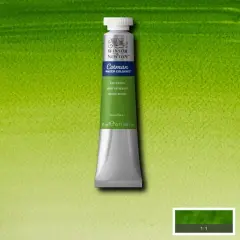 Winsor & Newton&reg; Cotman&reg; 0.71oz. Watercolor Paint Sap Green