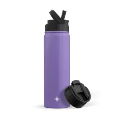 JoyJolt&reg; 22oz. Triple Insulated Water Bottle with Flip Lid & Sport Straw Lid Purple
