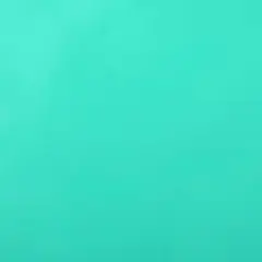 ORACAL&reg; 651 Permanent Adhesive Vinyl Mint 055