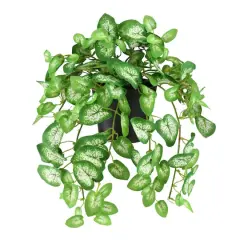 8" Decorative Kelly Green Spring Plant in Pot