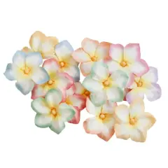 Paper Plumeria Embellishments by Recollections&trade;