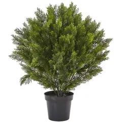 3ft. Potted Cedar Bush