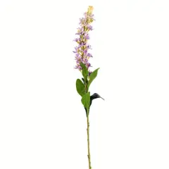 Purple Hyacinth Stem, 3ct.