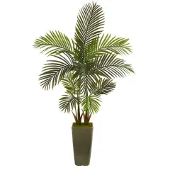5ft. Areca Palm Tree in Green Planter 
