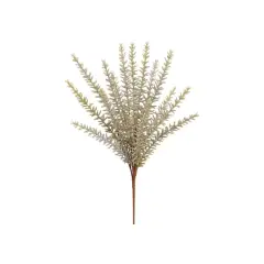 Green & Gray Rosemary Bush