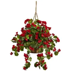 2.5ft. Geranium Hanging Basket