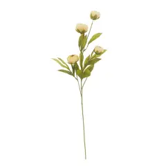 Tan Peony Stem by Ashland&reg;