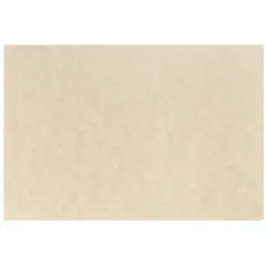 JAM Paper Natural Parchment Blank Note Cards